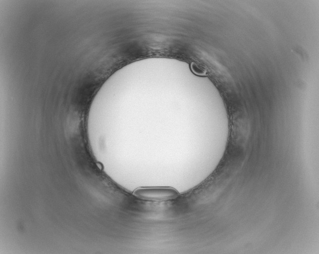 X0000115260225200911271932