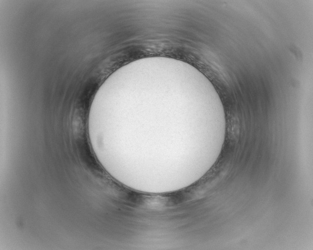 X0000115260226200911271932