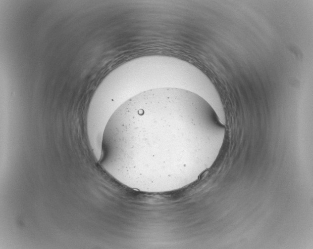 X0000115260229200911271932