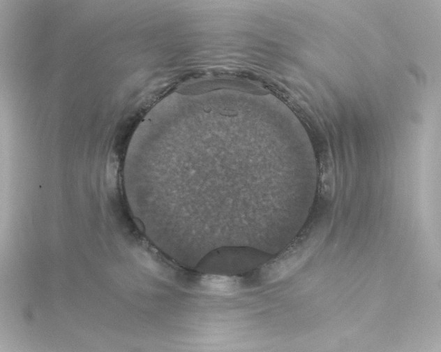 X0000115260231200911271932