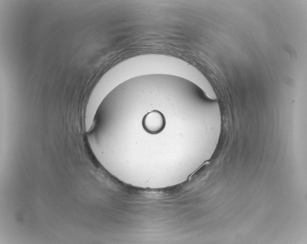 X0000115260233200911271932