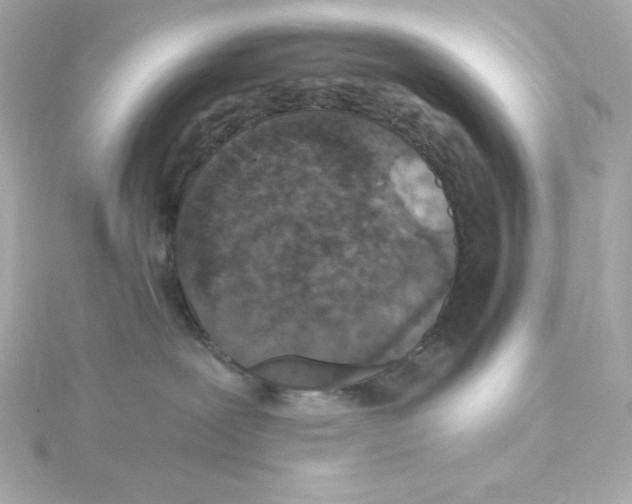 X0000115260239200911271932