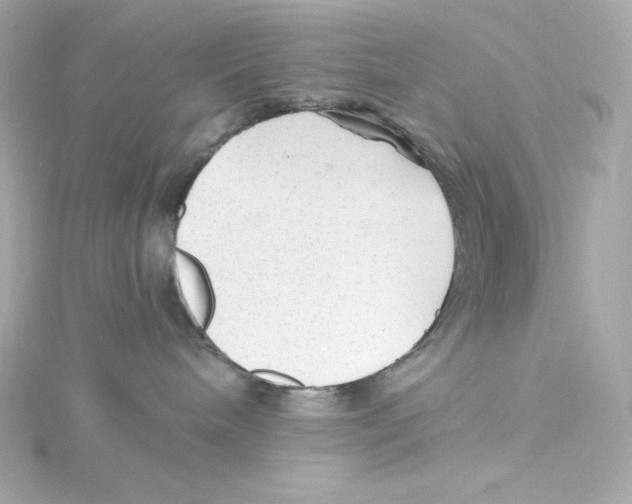 X0000115260240200911271932