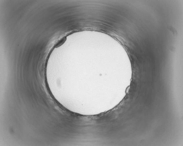 X0000115260241200911271931