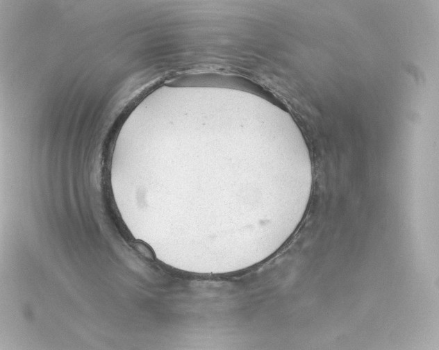 X0000115260242200911271931