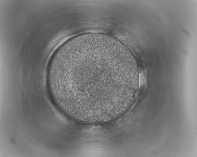 X0000115260243200911271931