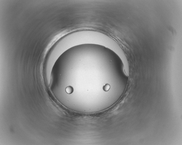 X0000115260244200911271931