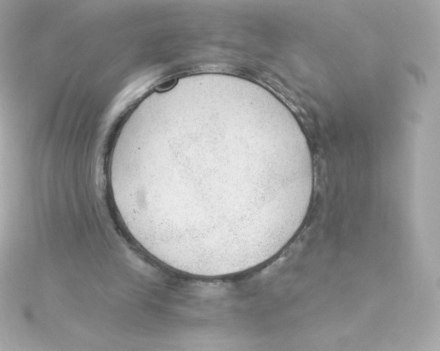 X0000115260245200911271931