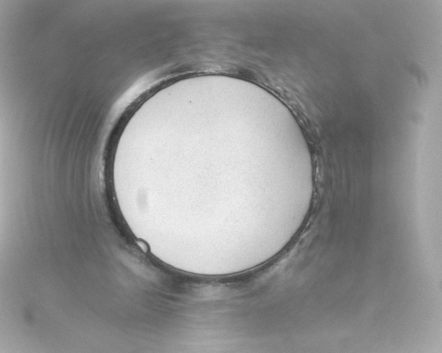 X0000115260246200911271931