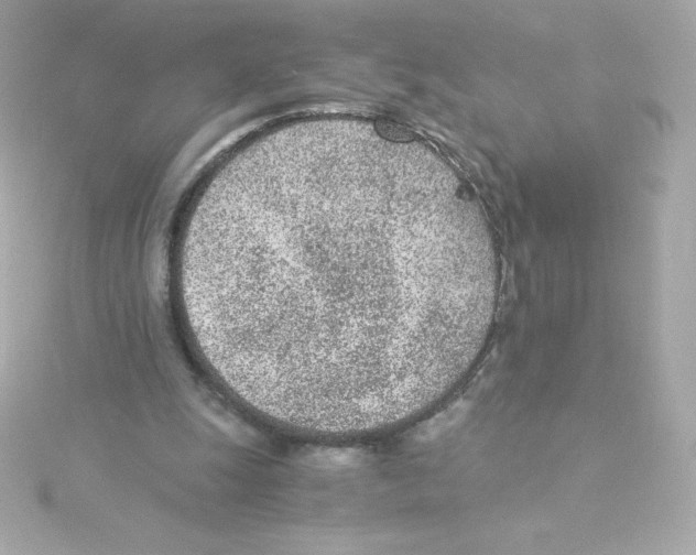 X0000115260247200911271931