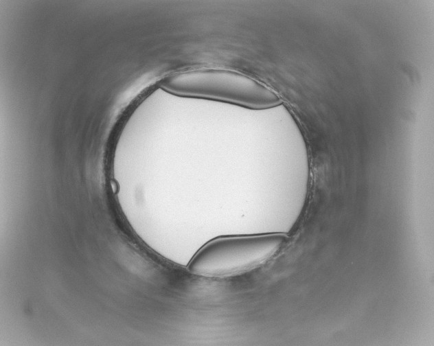 X0000115260248200911271931