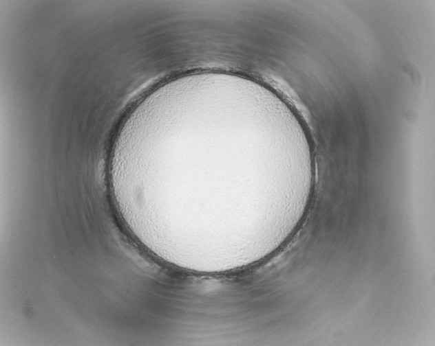 X0000115260249200911271931