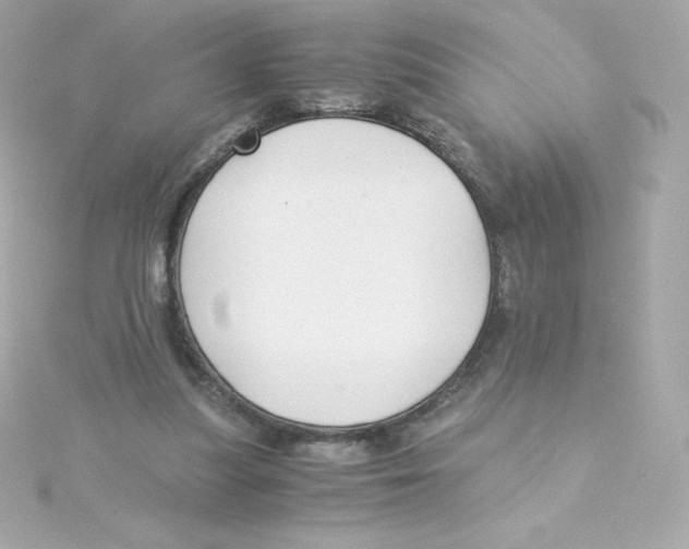 X0000115260251200911271931