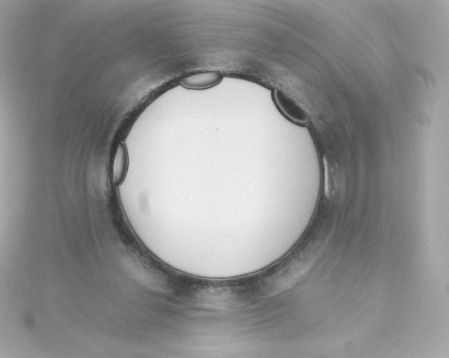 X0000115260252200911271931