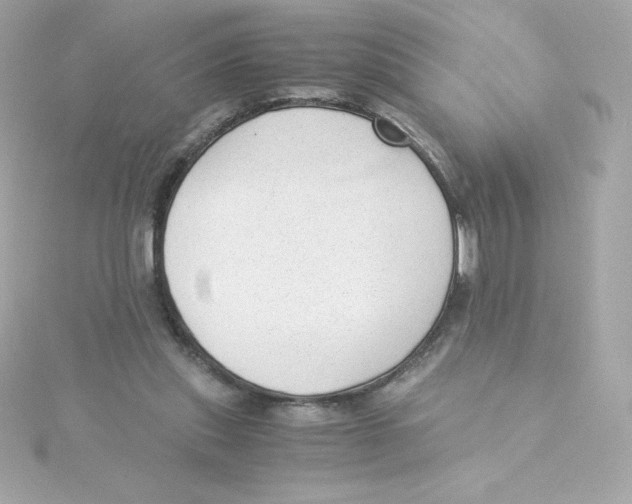 X0000115260253200911271931