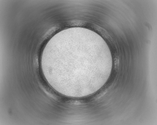 X0000115260254200911271931