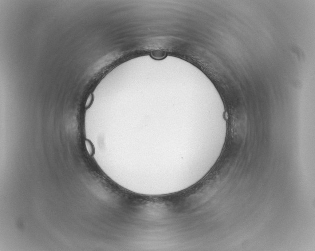 X0000115260256200911271931