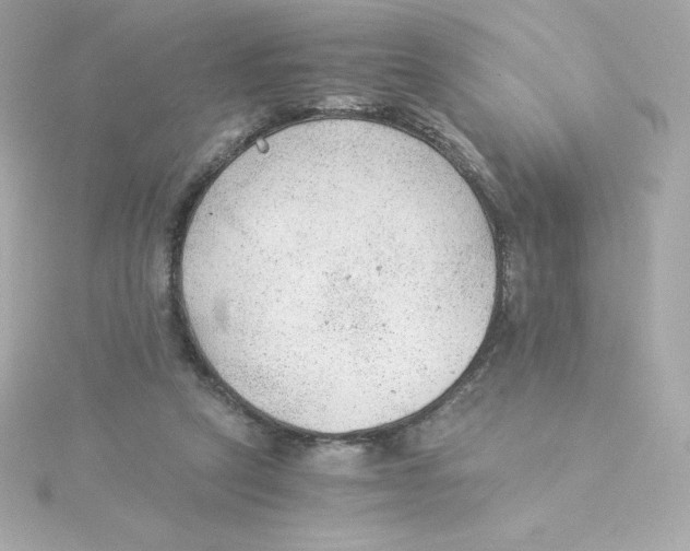 X0000115260257200911271931