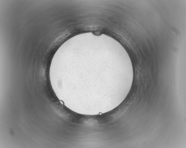 X0000115260258200911271931