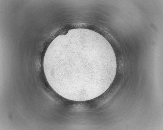 X0000115260259200911271931