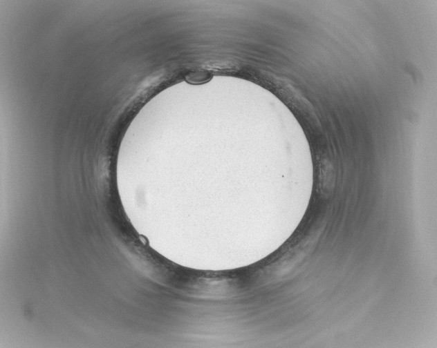 X0000115260260200911271931