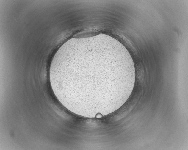 X0000115260261200911271931