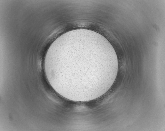 X0000115260262200911271931