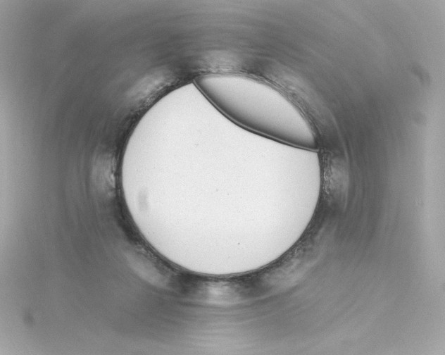 X0000115260264200911271931