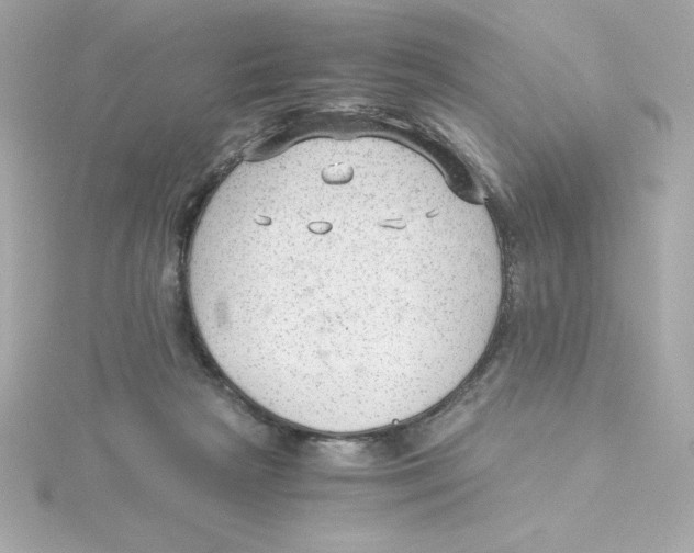 X0000115260265200911271931