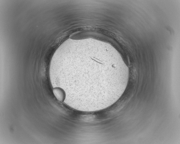 X0000115260266200911271931