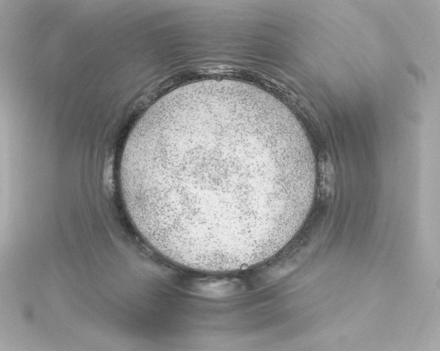 X0000115260267200911271931