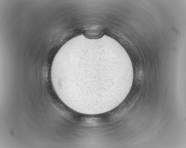 X0000115260268200911271931