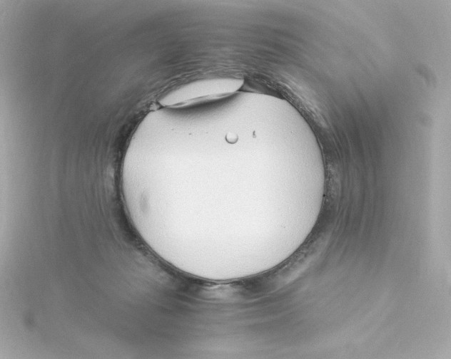 X0000115260269200911271931