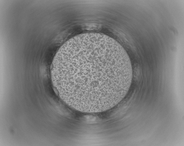 X0000115260272200911271931