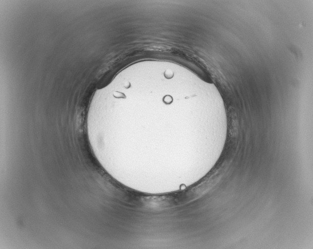 X0000115260273200911271931