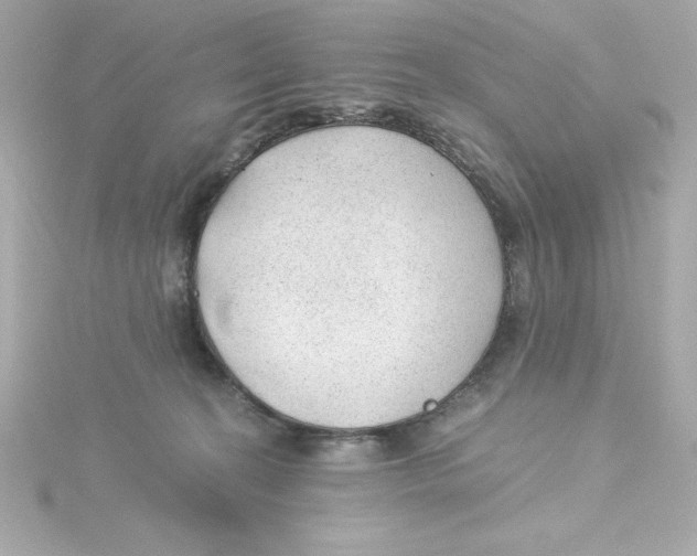 X0000115260274200911271931