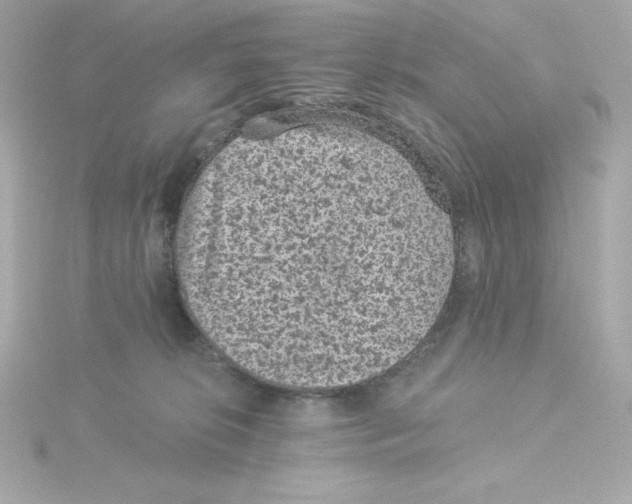 X0000115260276200911271931