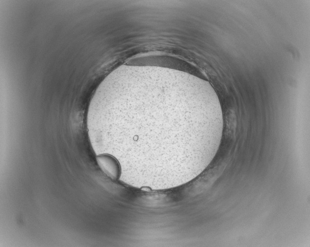 X0000115260278200911271931