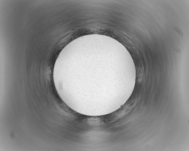 X0000115260279200911271931