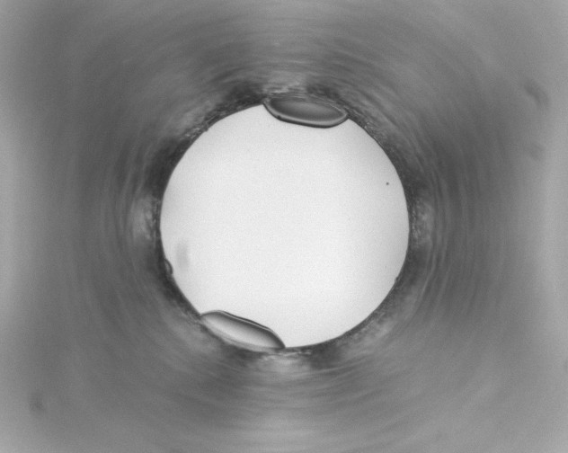 X0000115260280200911271931