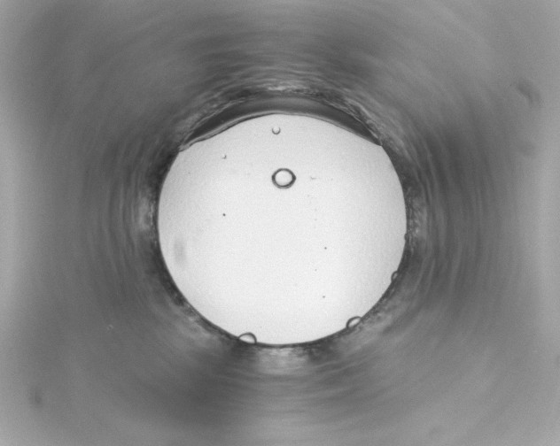 X0000115260281200911271931