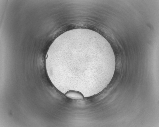 X0000115260282200911271932