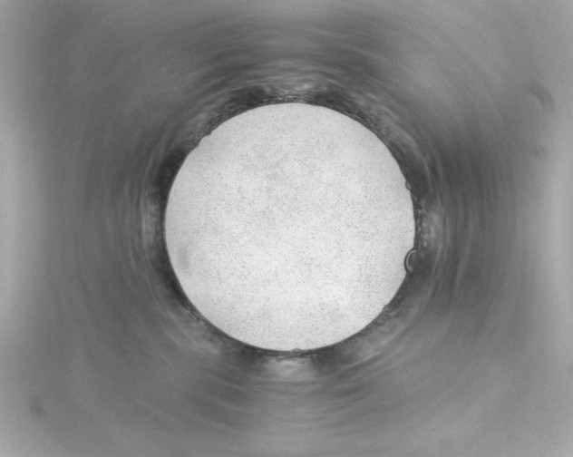 X0000115260283200911271932