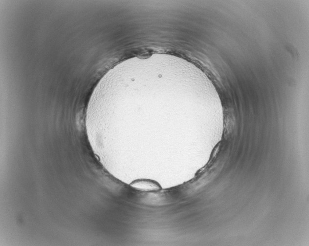 X0000115260285200911271932