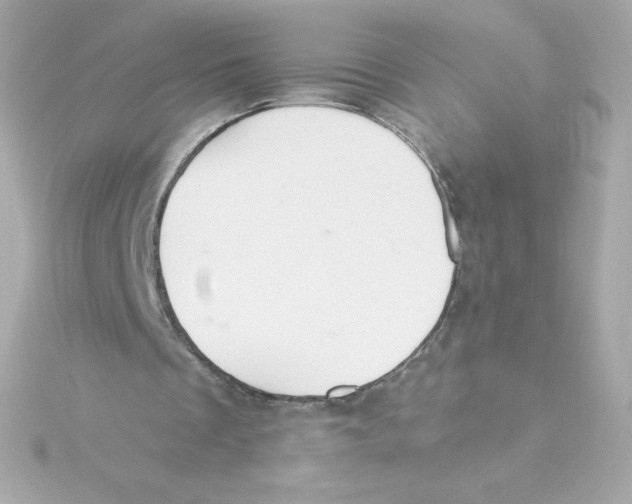 X0000115260289200911271931