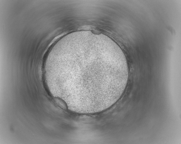 X0000115260290200911271931