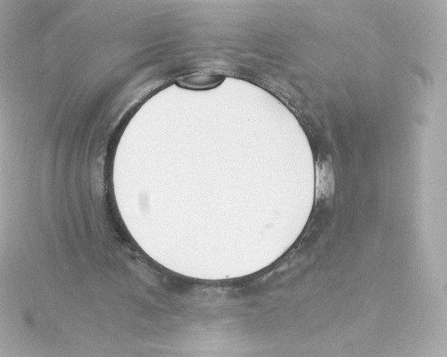 X0000115260291200911271931