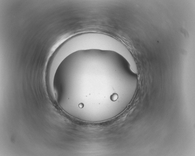 X0000115260292200911271931