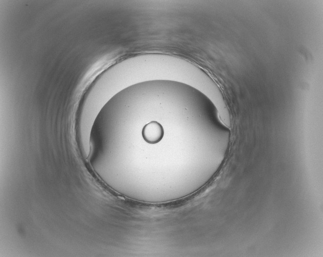 X0000115260293200911271931