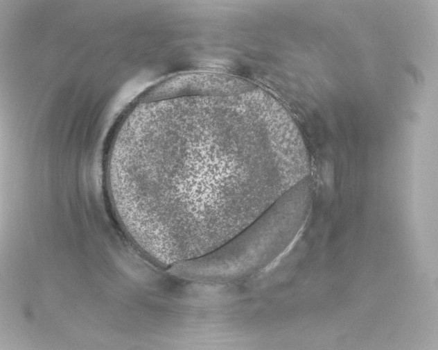 X0000115260294200911271931